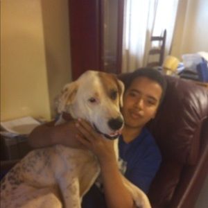 Meet your Posher, Las